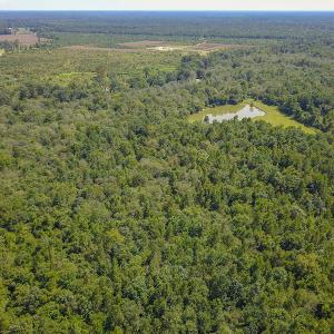 Photo #21 of SOLD property in 291 S Dobson Chapel Road, Kenansville, NC 290.0 acres