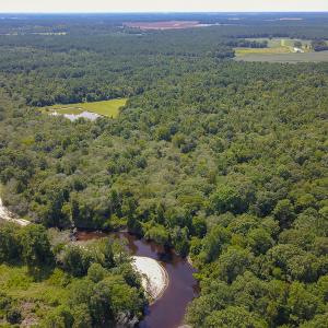 Photo #22 of SOLD property in 291 S Dobson Chapel Road, Kenansville, NC 290.0 acres