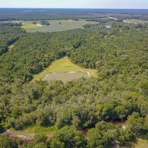 Photo #23 of SOLD property in 291 S Dobson Chapel Road, Kenansville, NC 290.0 acres