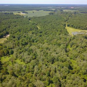 Photo #24 of SOLD property in 291 S Dobson Chapel Road, Kenansville, NC 290.0 acres