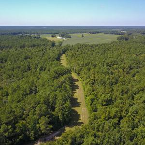 Photo #25 of SOLD property in 291 S Dobson Chapel Road, Kenansville, NC 290.0 acres