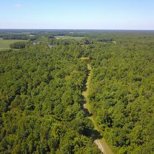 Photo #28 of SOLD property in 291 S Dobson Chapel Road, Kenansville, NC 290.0 acres