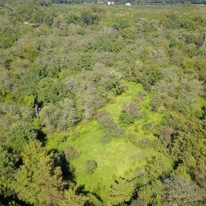 Photo #30 of SOLD property in 291 S Dobson Chapel Road, Kenansville, NC 290.0 acres