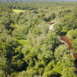 Photo #31 of SOLD property in 291 S Dobson Chapel Road, Kenansville, NC 290.0 acres