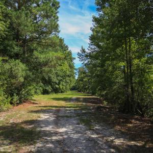 Photo #38 of SOLD property in 291 S Dobson Chapel Road, Kenansville, NC 290.0 acres