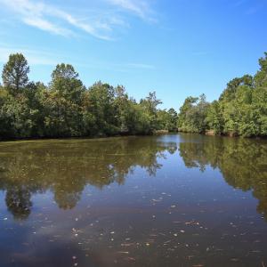 Photo #39 of SOLD property in 291 S Dobson Chapel Road, Kenansville, NC 290.0 acres