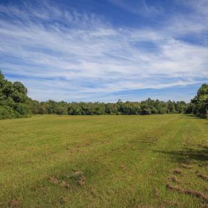 Photo #40 of SOLD property in 291 S Dobson Chapel Road, Kenansville, NC 290.0 acres