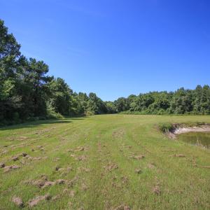 Photo #41 of SOLD property in 291 S Dobson Chapel Road, Kenansville, NC 290.0 acres