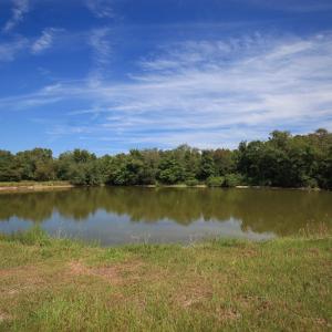 Photo #42 of SOLD property in 291 S Dobson Chapel Road, Kenansville, NC 290.0 acres