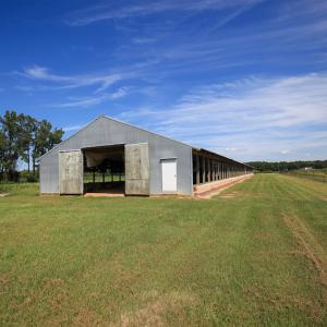 Photo #43 of SOLD property in 291 S Dobson Chapel Road, Kenansville, NC 290.0 acres