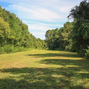 Photo #44 of SOLD property in 291 S Dobson Chapel Road, Kenansville, NC 290.0 acres