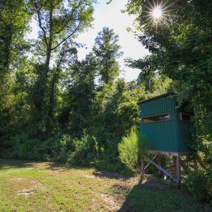 Photo #46 of SOLD property in 291 S Dobson Chapel Road, Kenansville, NC 290.0 acres