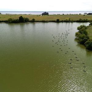 Photo #18 of SOLD property in Off Sandpiper Drive, Hertford, NC 2.2 acres