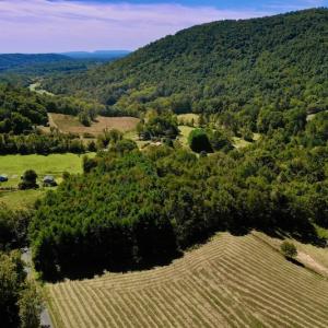 Photo #2 of SOLD property in Off Sheep Creek Road, Bedford, VA 8.0 acres