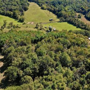 Photo #5 of SOLD property in Off Sheep Creek Road, Bedford, VA 8.0 acres