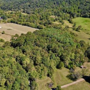 Photo #6 of SOLD property in Off Sheep Creek Road, Bedford, VA 8.0 acres
