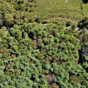 Photo #11 of SOLD property in Off Sheep Creek Road, Bedford, VA 8.0 acres