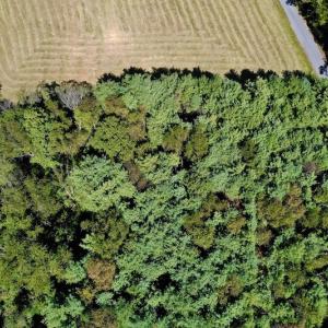 Photo #12 of SOLD property in Off Sheep Creek Road, Bedford, VA 8.0 acres