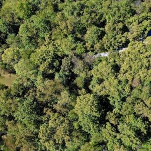 Photo #13 of SOLD property in Off Sheep Creek Road, Bedford, VA 8.0 acres