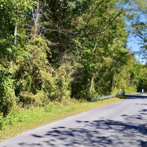Photo #14 of SOLD property in Off Sheep Creek Road, Bedford, VA 8.0 acres