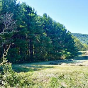 Photo #22 of SOLD property in Off Sheep Creek Road, Bedford, VA 8.0 acres