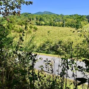 Photo #23 of SOLD property in Off Sheep Creek Road, Bedford, VA 8.0 acres