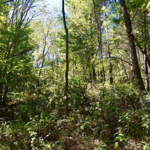 Photo #24 of SOLD property in Off Sheep Creek Road, Bedford, VA 8.0 acres