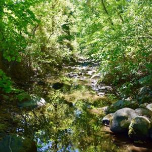 Photo #25 of SOLD property in Off Sheep Creek Road, Bedford, VA 8.0 acres