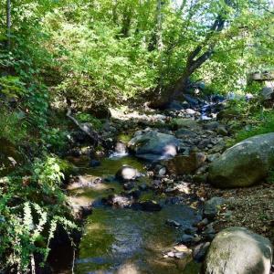 Photo #26 of SOLD property in Off Sheep Creek Road, Bedford, VA 8.0 acres