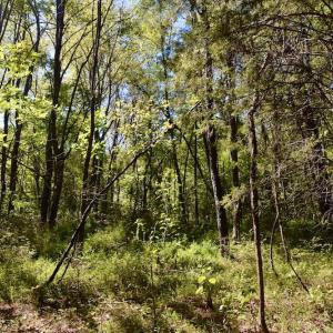 Photo #27 of SOLD property in Off Sheep Creek Road, Bedford, VA 8.0 acres