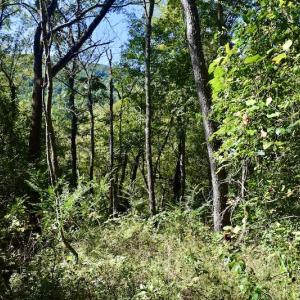 Photo #29 of SOLD property in Off Sheep Creek Road, Bedford, VA 8.0 acres