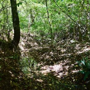 Photo #32 of SOLD property in Off Sheep Creek Road, Bedford, VA 8.0 acres