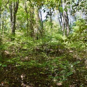 Photo #33 of SOLD property in Off Sheep Creek Road, Bedford, VA 8.0 acres
