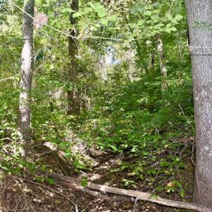 Photo #35 of SOLD property in Off Sheep Creek Road, Bedford, VA 8.0 acres