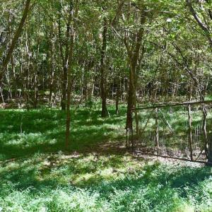 Photo #37 of SOLD property in Off Sheep Creek Road, Bedford, VA 8.0 acres