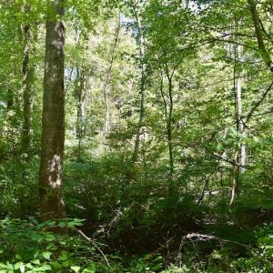 Photo #41 of SOLD property in Off Sheep Creek Road, Bedford, VA 8.0 acres