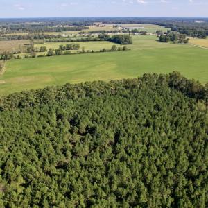 Photo #8 of SOLD property in Off California Road, Farmville, NC 13.2 acres
