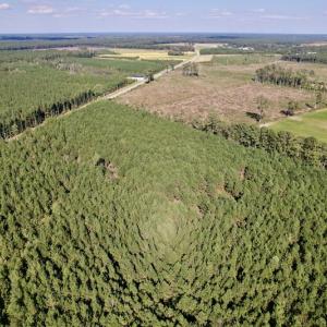 Photo #9 of SOLD property in Off California Road, Farmville, NC 13.2 acres
