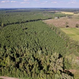 Photo #10 of SOLD property in Off California Road, Farmville, NC 13.2 acres