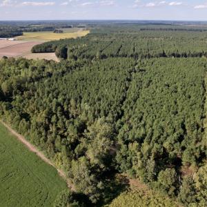 Photo #11 of SOLD property in Off California Road, Farmville, NC 13.2 acres