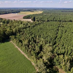 Photo #12 of SOLD property in Off California Road, Farmville, NC 13.2 acres