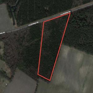 Photo #1 of SOLD property in Off California Road, Farmville, NC 13.2 acres