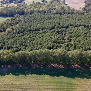 Photo #15 of SOLD property in Off California Road, Farmville, NC 13.2 acres