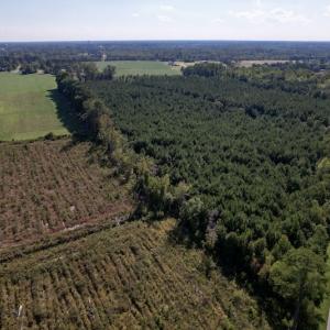 Photo #2 of SOLD property in Off California Road, Farmville, NC 13.2 acres