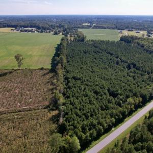 Photo #3 of SOLD property in Off California Road, Farmville, NC 13.2 acres