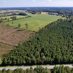 Photo #4 of SOLD property in Off California Road, Farmville, NC 13.2 acres