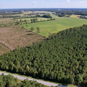 Photo #5 of SOLD property in Off California Road, Farmville, NC 13.2 acres
