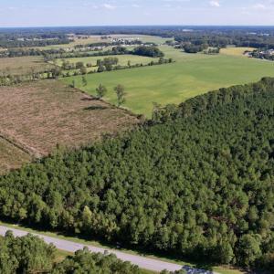 Photo #5 of SOLD property in Off California Road, Farmville, NC 13.2 acres