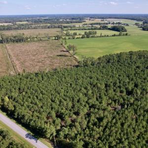 Photo #6 of SOLD property in Off California Road, Farmville, NC 13.2 acres