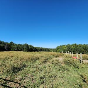 Photo #30 of SOLD property in 4465 Harmony Road, Long Island, VA 135.5 acres